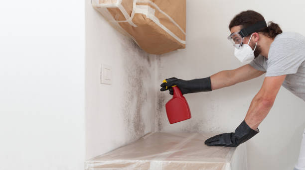 Professional Bathroom Mold Removal technician working in Riverside, NJ