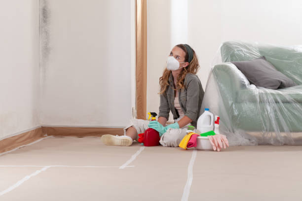 Reliable Bathroom Mold Removal contractor in Riverside, NJ by WQB Mold Removal
